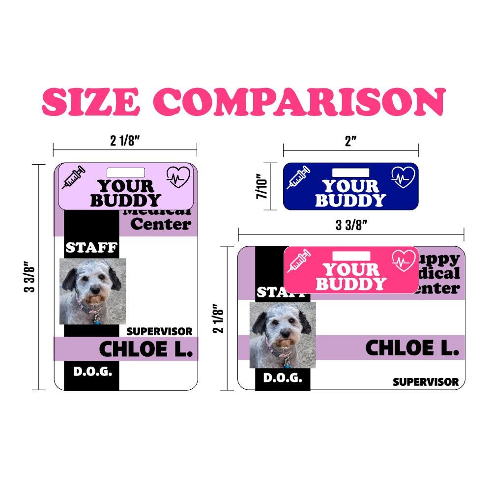 Custom Personalized Badge Buddy Hospital ID Healthcare Worker Rainbow Glitter Name Tag Flair Acrylic Wood Badge Clip Nurse Doctor Tag Reel