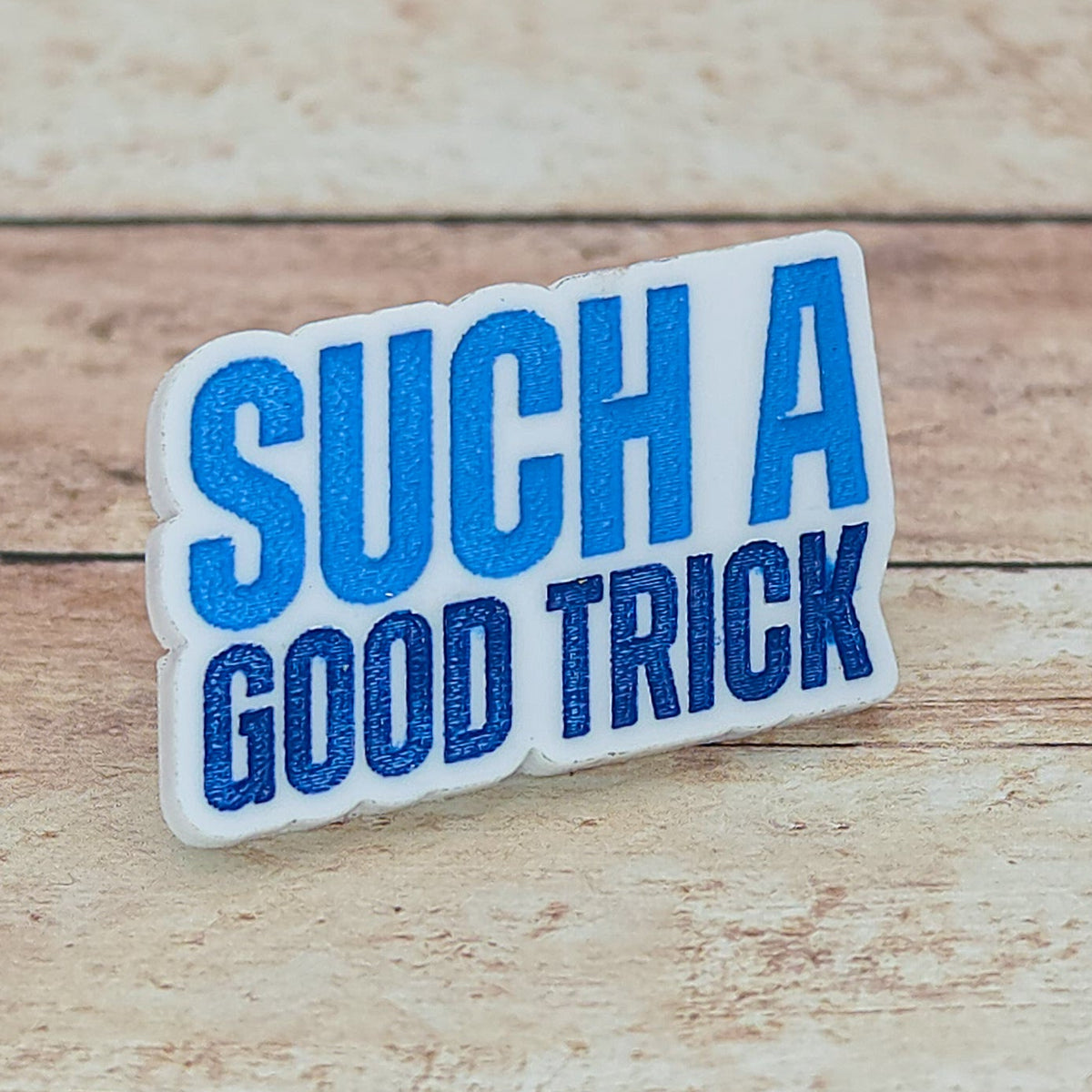 Heated Rivalry Inspired “Such a Good Trick” Lapel Pin