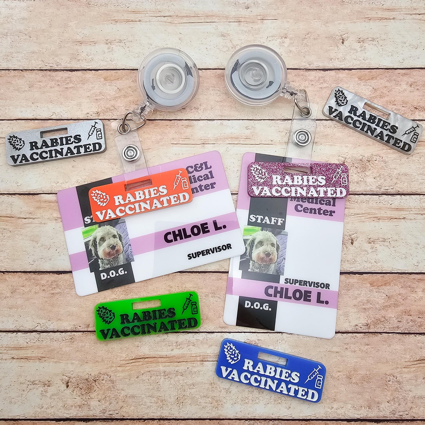 Rabies Vaccinated Badge Tag | Veterinary Badge Charm