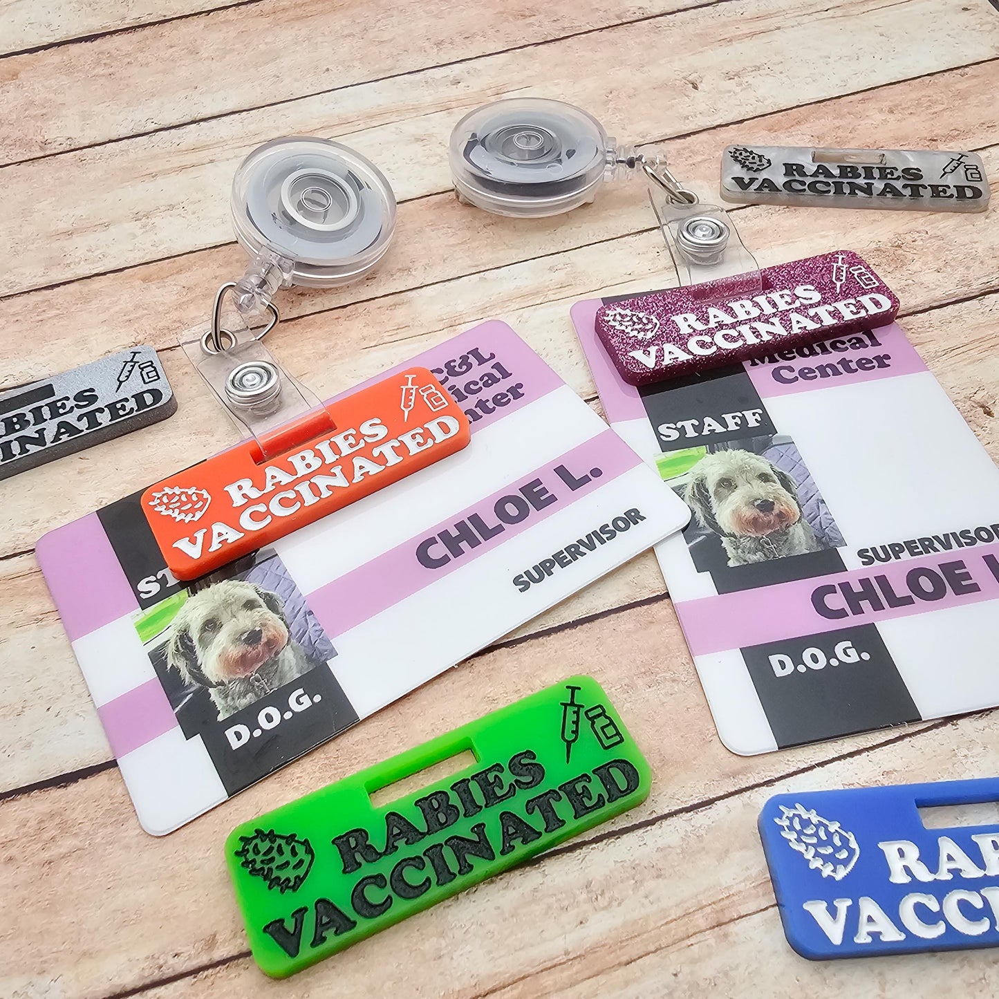 Rabies Vaccinated Badge Tag | Veterinary Badge Charm